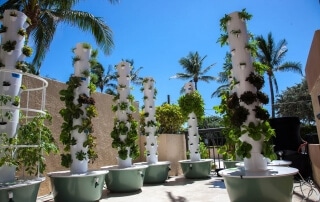 Purlife Cafe Plant Towers